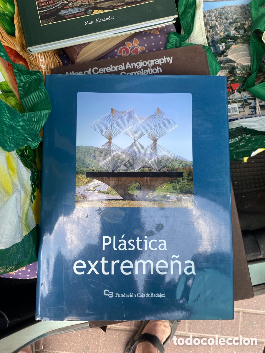 Libros de segunda mano: Pl&aacute;stica extreme&ntilde;a libro