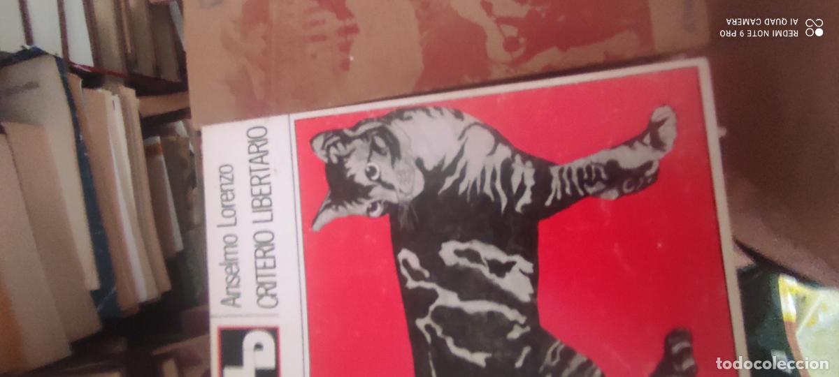 Libros de segunda mano: CRITERIO LIBERTARIO / Anselmo Lorenzo