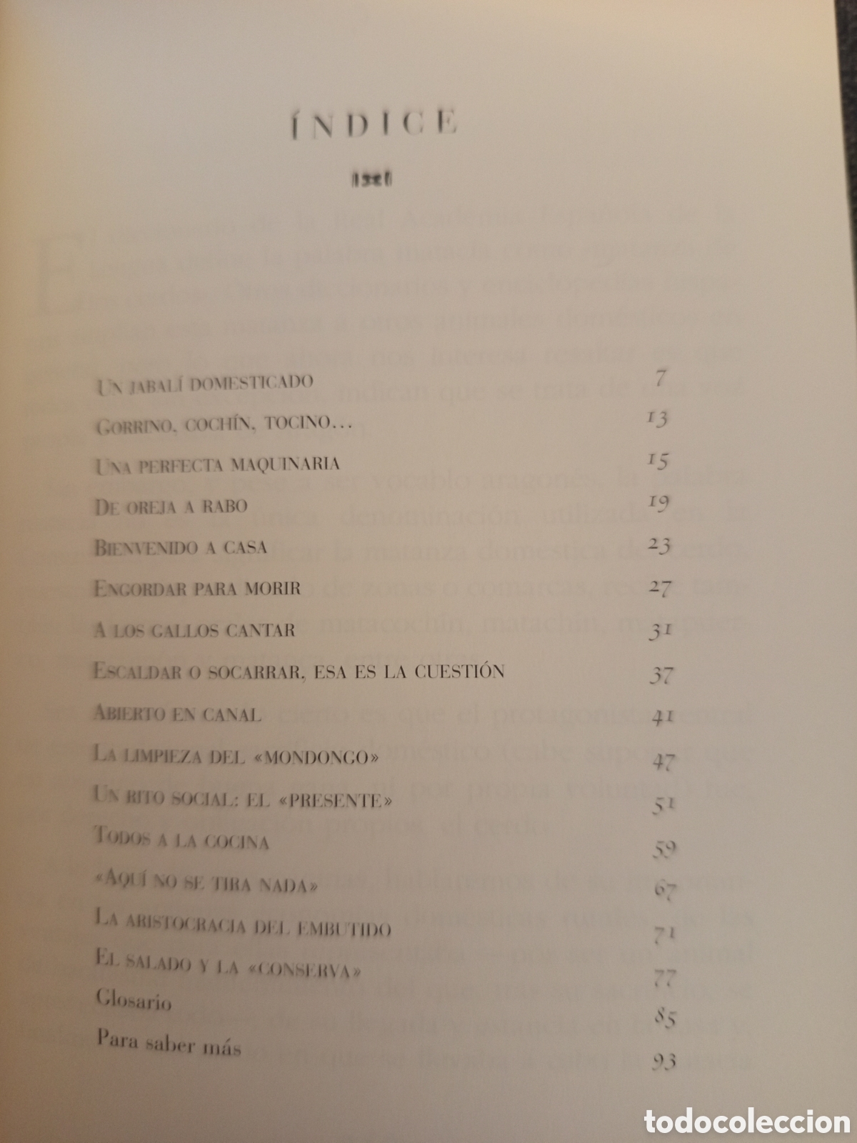 Libros de segunda mano: LA MATACIA (JOSE RAMON MARCUELLO) - Foto 3