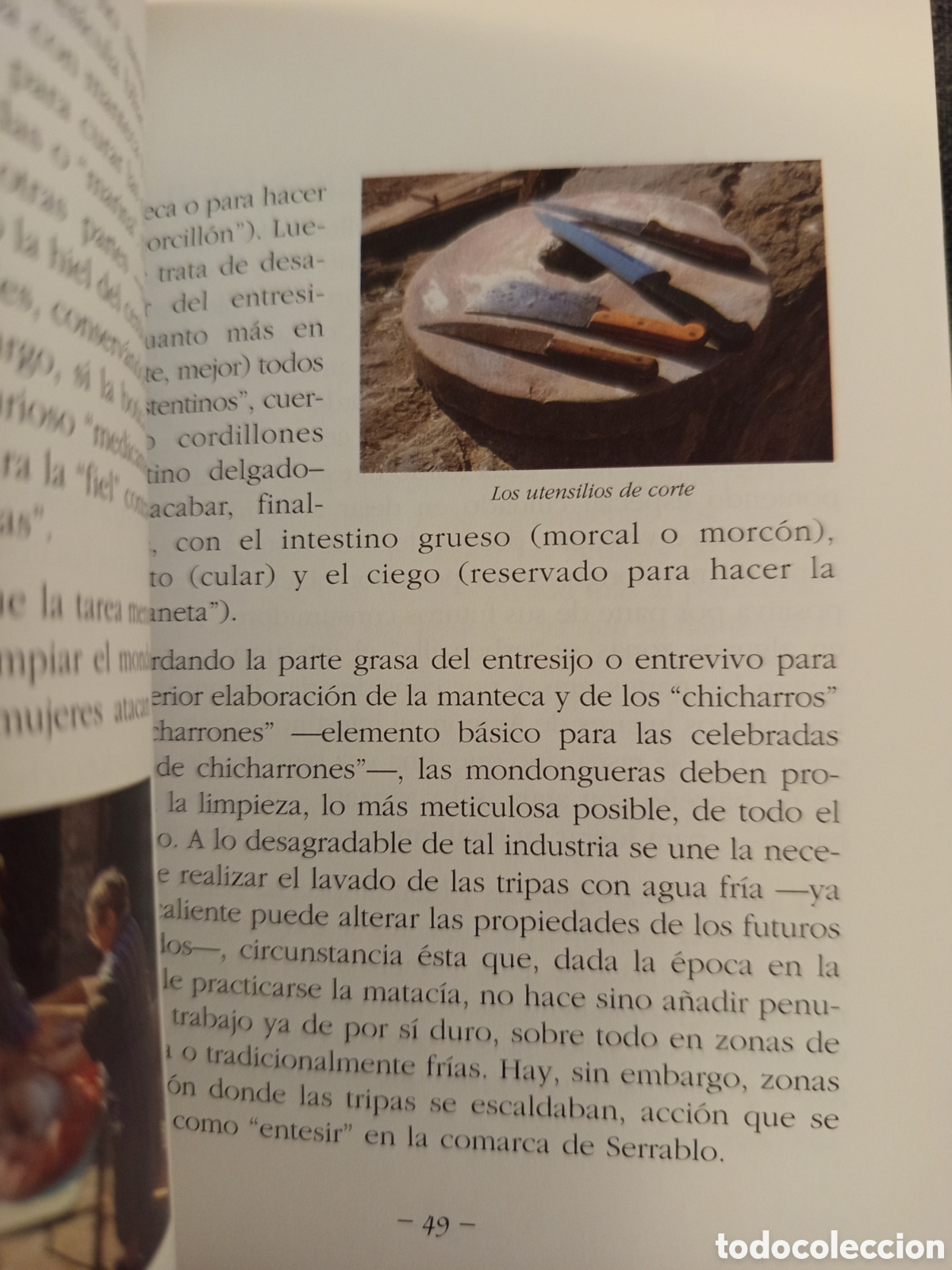 Libros de segunda mano: LA MATACIA (JOSE RAMON MARCUELLO) - Foto 6