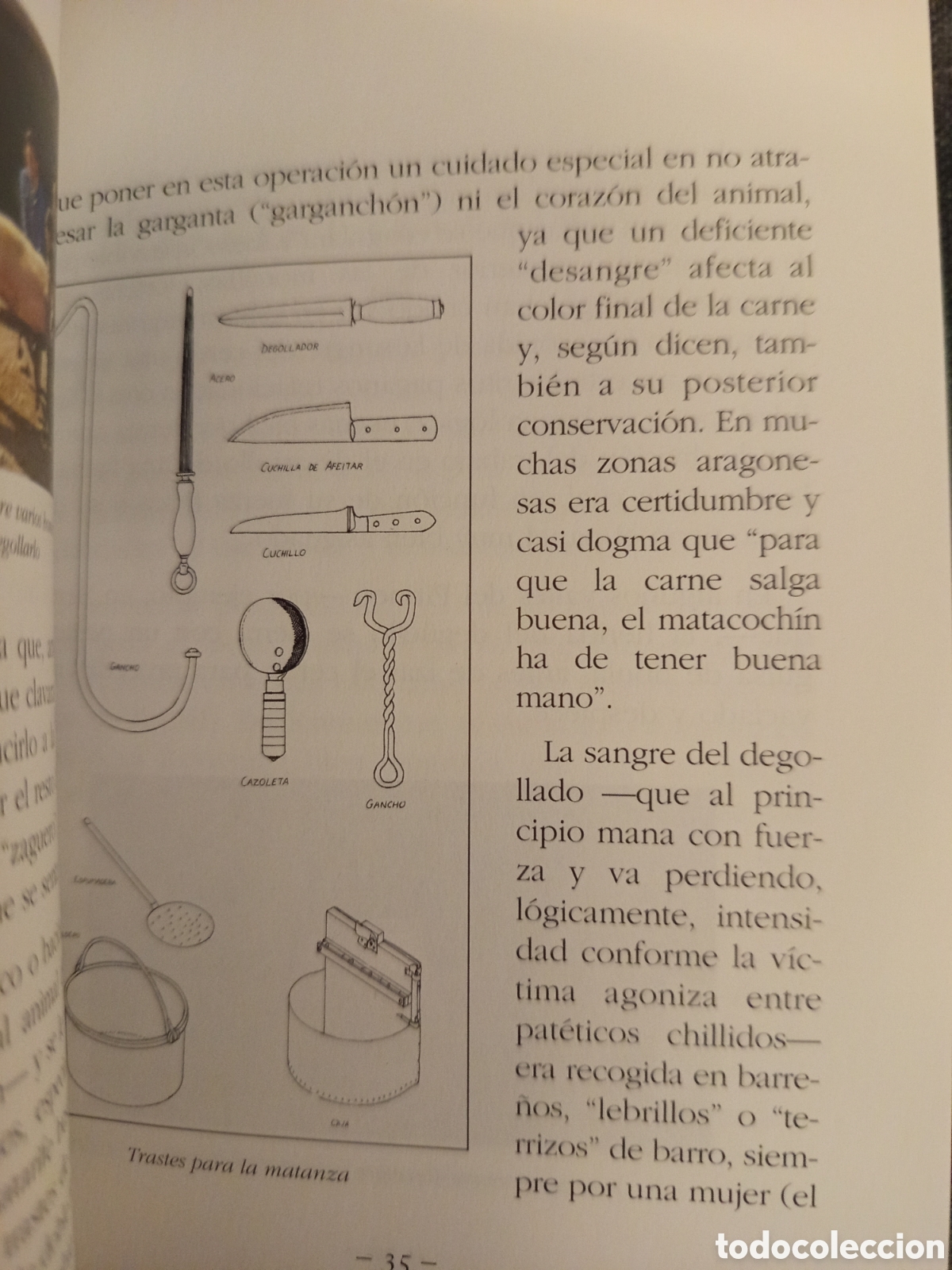 Libros de segunda mano: LA MATACIA (JOSE RAMON MARCUELLO) - Foto 7