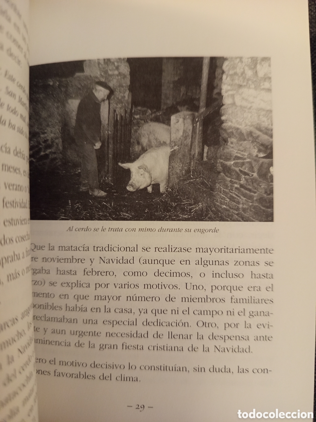 Libros de segunda mano: LA MATACIA (JOSE RAMON MARCUELLO) - Foto 8