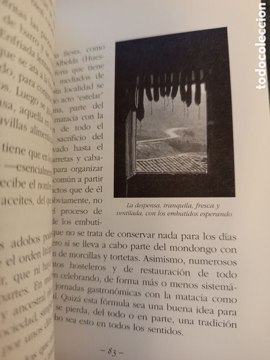 Libros de segunda mano: LA MATACIA (JOSE RAMON MARCUELLO) - Foto 9