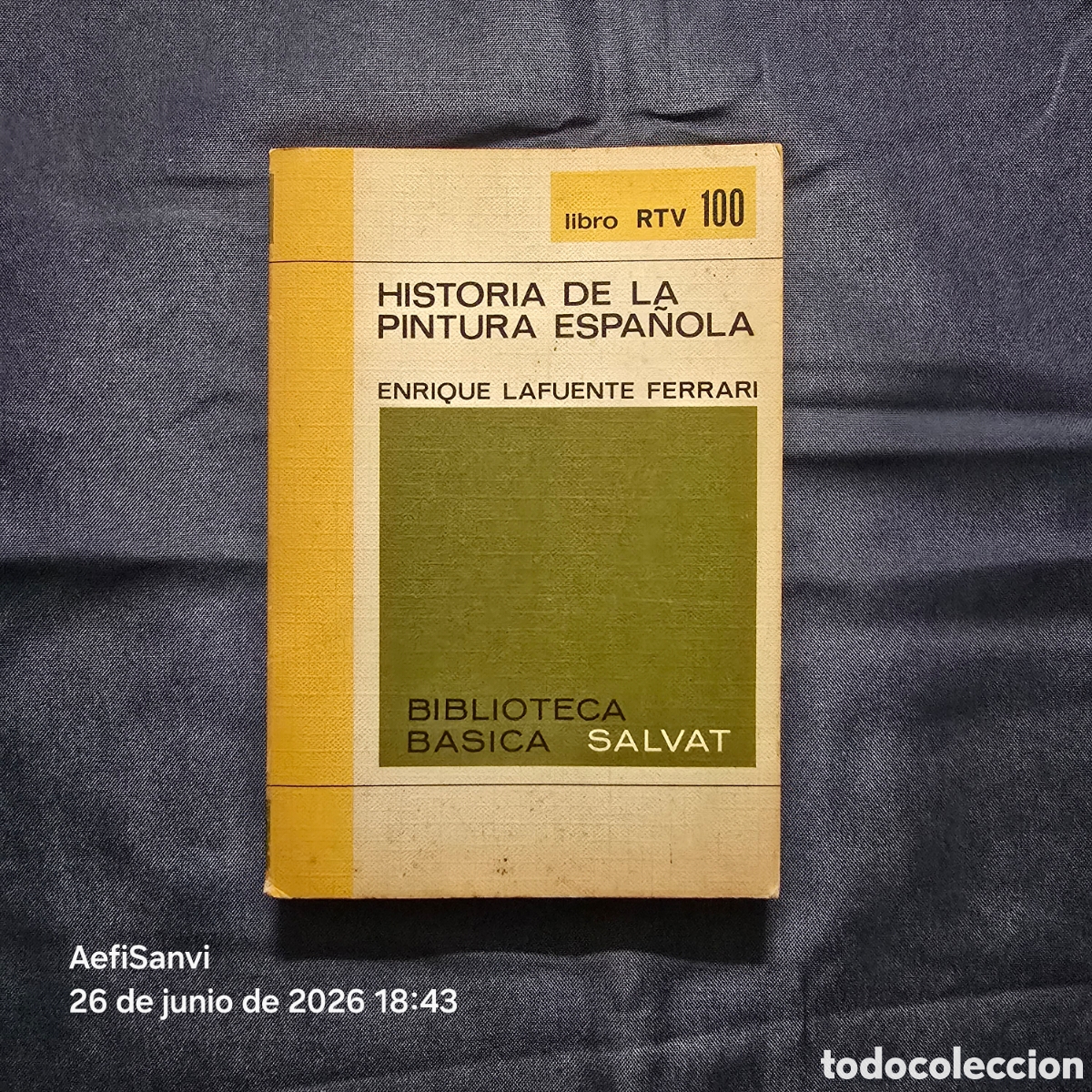 Libros de segunda mano: RTV 100: HISTORIA DE LA PINTURA ESPA&Ntilde;OLA (ENRIQUE LAFUENTE FERRARI) (SALVAT)