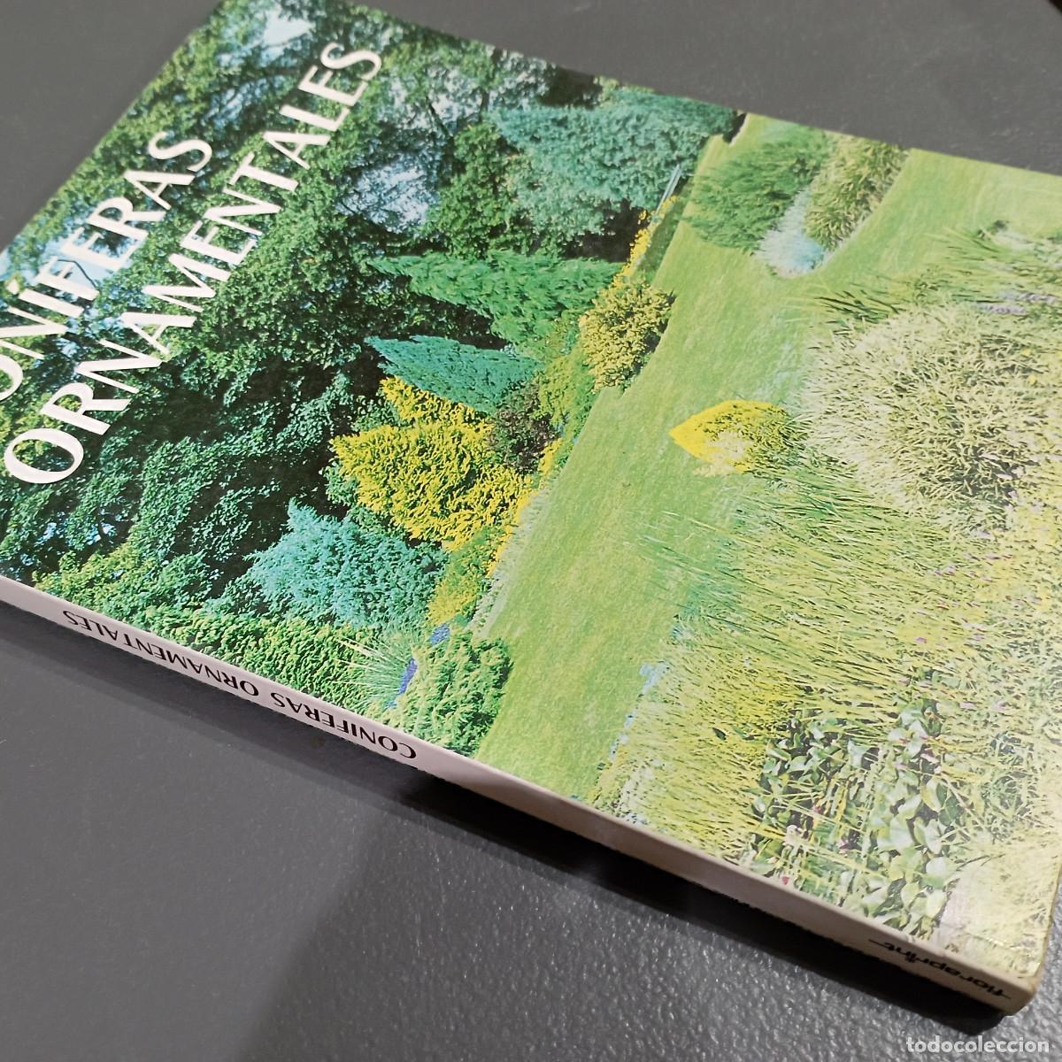 Libros de segunda mano: Con&iacute;feras ornamentales - Roberto Guillen - JDB - Foto 2