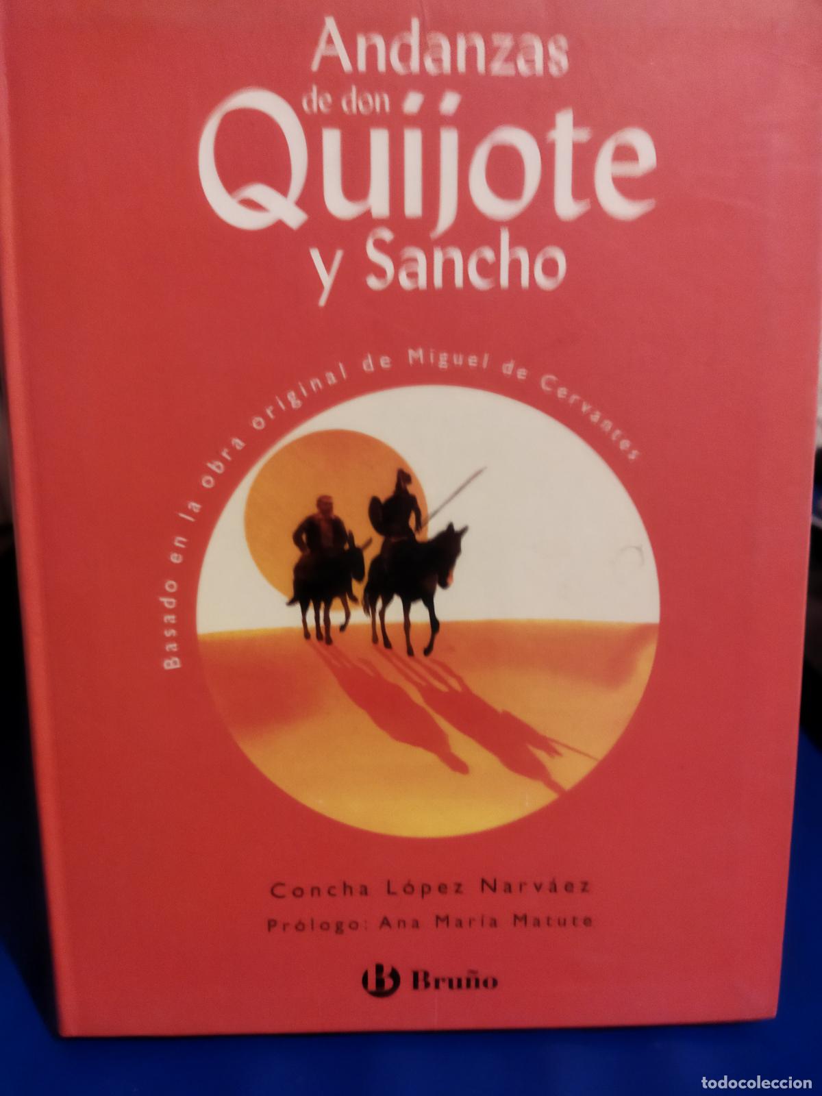 Libros de segunda mano: Andanzas de don quijote y sancho