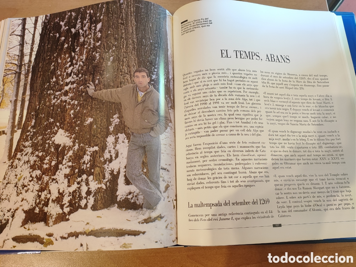 Libros de segunda mano: OBSERVANT EL TEMPS. ALFRED RODR&Iacute;GUEZ PIC&Oacute; - Foto 3