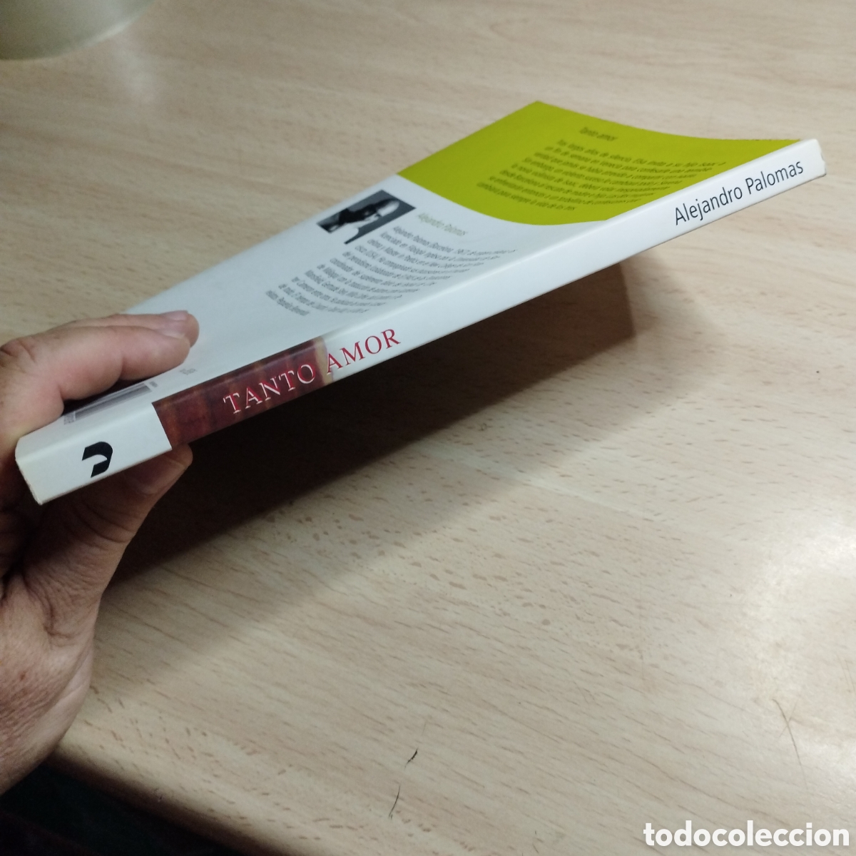 Libros de segunda mano: Tanto amor. Alejandro Palomas. 2007. El And&eacute;n 1&ordf; Edici&oacute;n - Foto 3