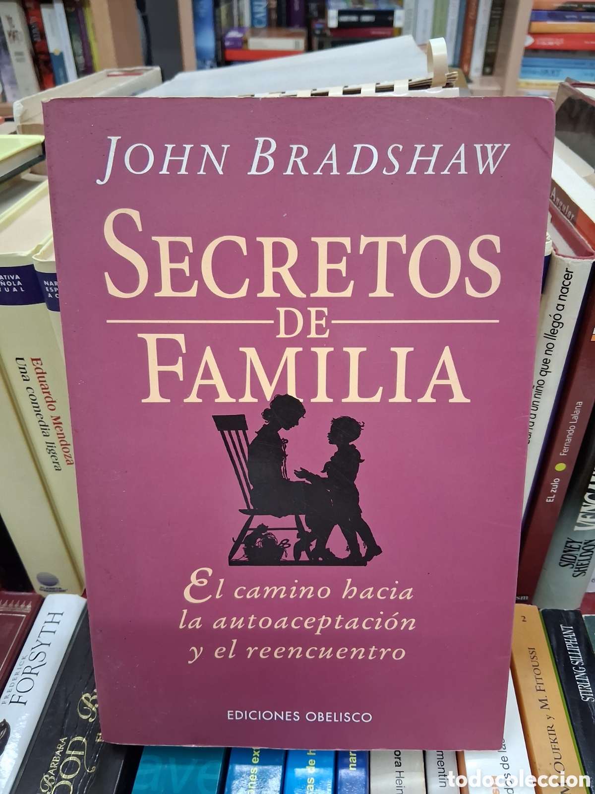 Libros de segunda mano: Secretos de familia. El camino hacia la autoaceptaci&oacute;n y el reencuentro-John Bradshaw - Obelisco