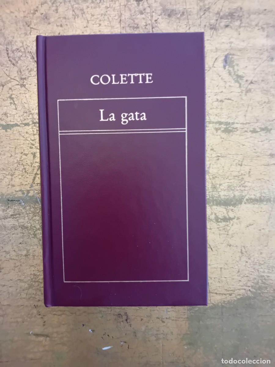 Libros de segunda mano: Colotte, la gata, a&ntilde;o 1982.