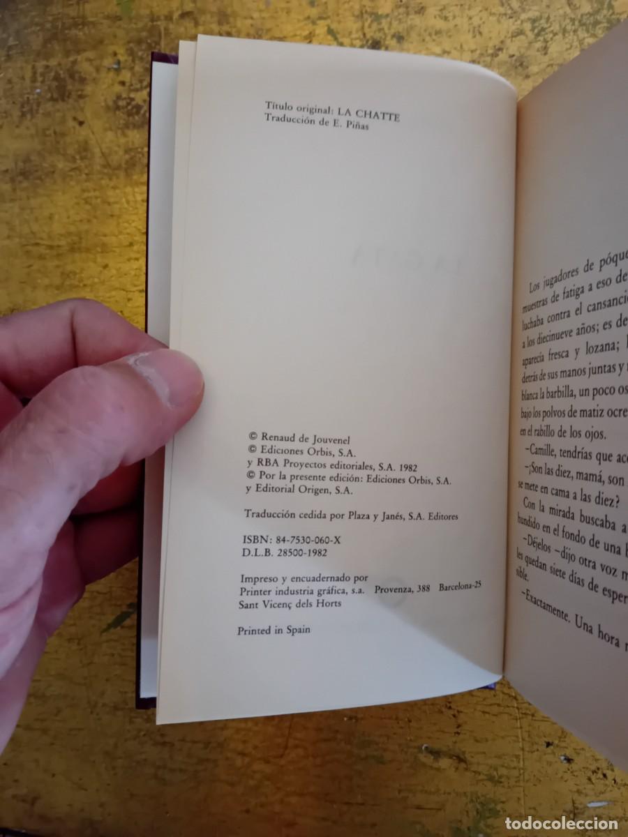 Libros de segunda mano: Colotte, la gata, a&ntilde;o 1982. - Foto 2