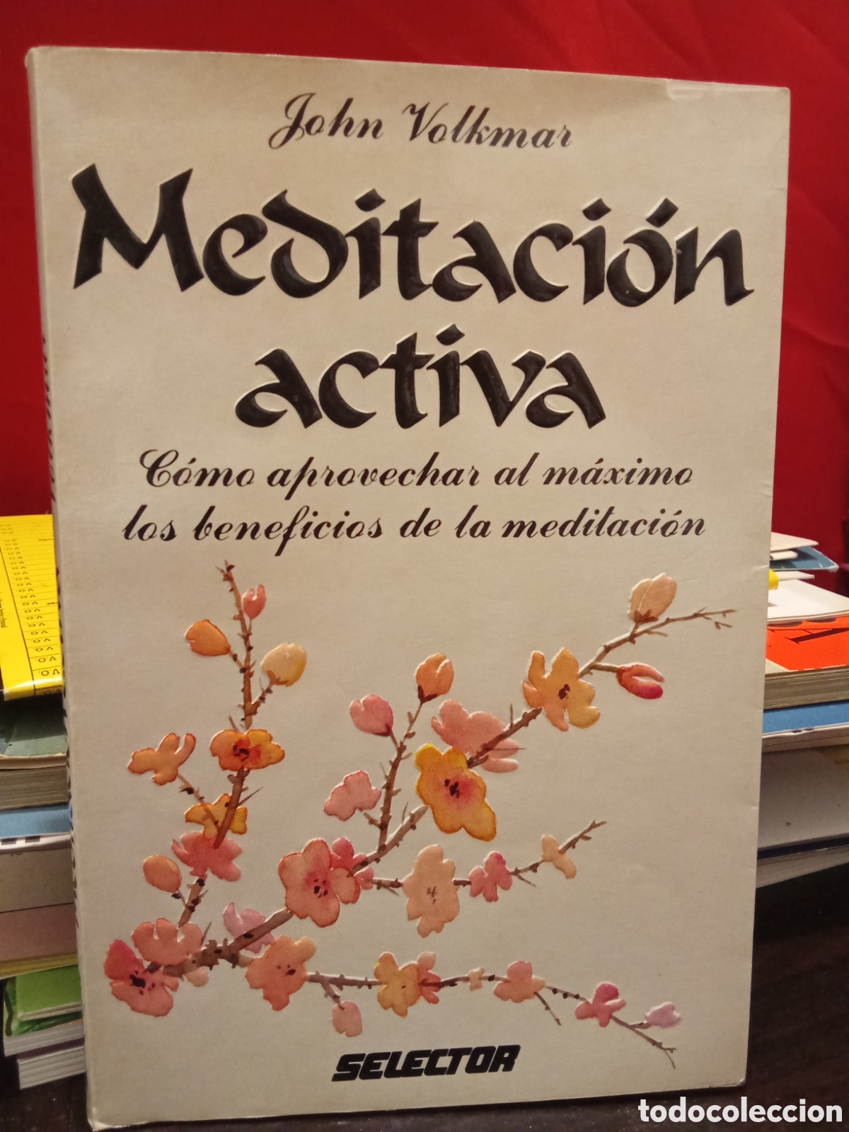 Livres d'occasion: Meditaci&oacute;n activa - John Volkmar