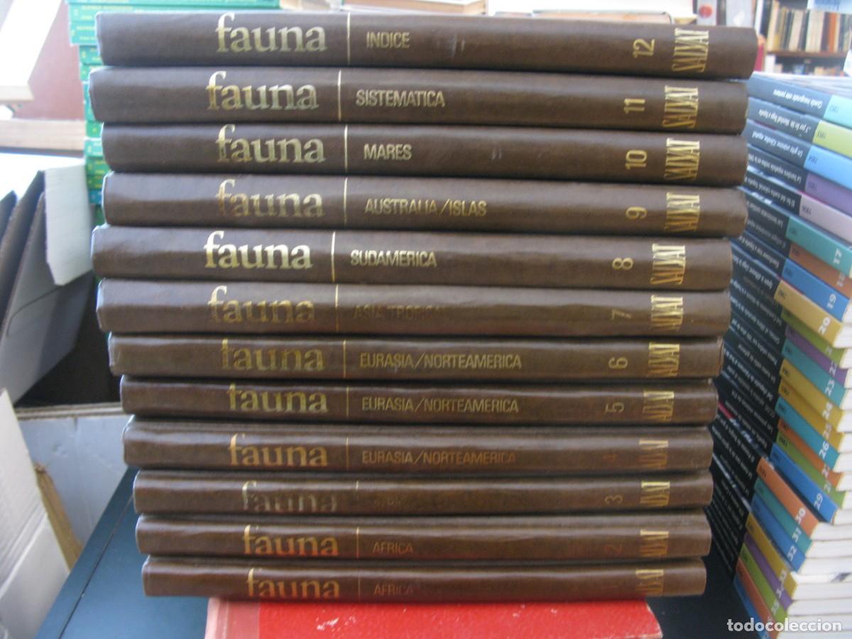 Second hand books: FAUNA DE SALVAT DE F&Eacute;LIX RODRIGUEZ DE LA FUENTE, 12 TOMOS COMPLETA 1974