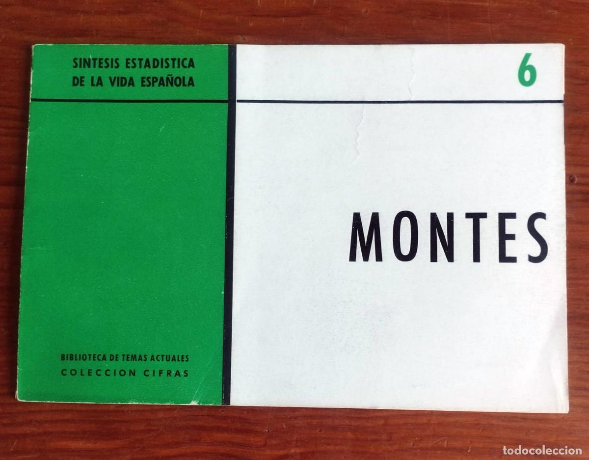 Libros de segunda mano: Folleto Montes N&ordm; 6 - S&iacute;ntesis Estad&iacute;stica de la Vida Espa&ntilde;ola (Colecci&oacute;n Cifras - INE)