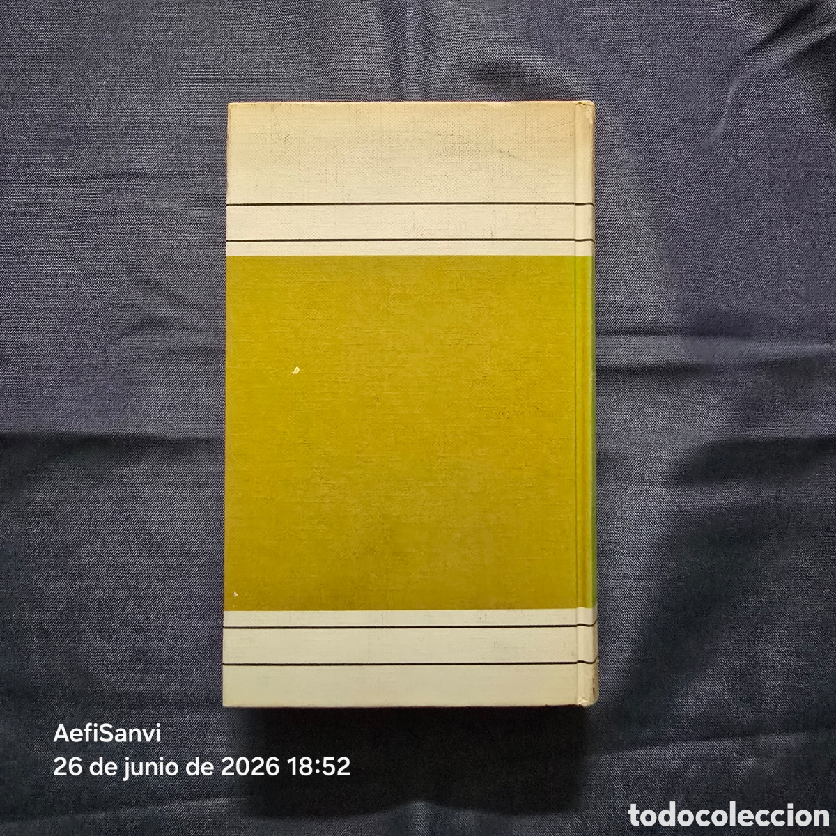 Libros de segunda mano: ABC DE LA DECORACI&Oacute;N DEL HOGAR (EVA M.J. SCHMID) - Foto 2