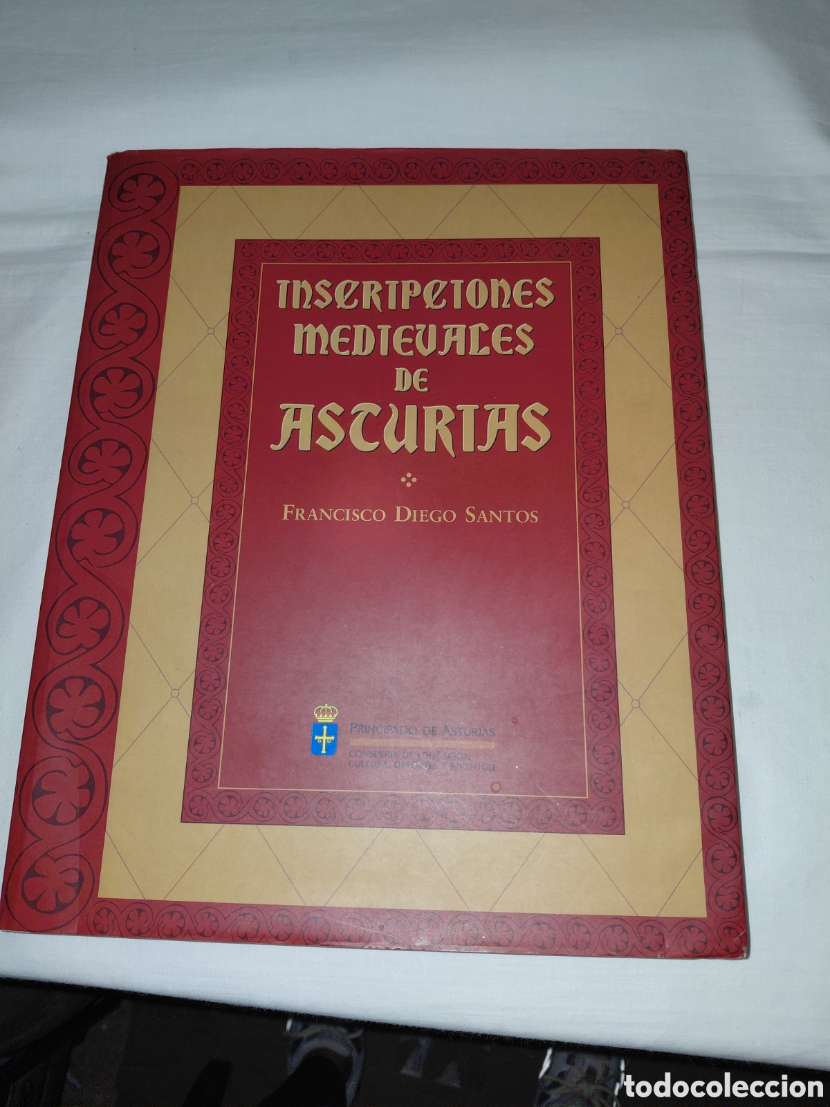 Libros de segunda mano: INSCRIPCIONES MEDIEVALES DE ASTURIAS.FRANCISCO DIEGO SANTOS.ASTURIAS 1994