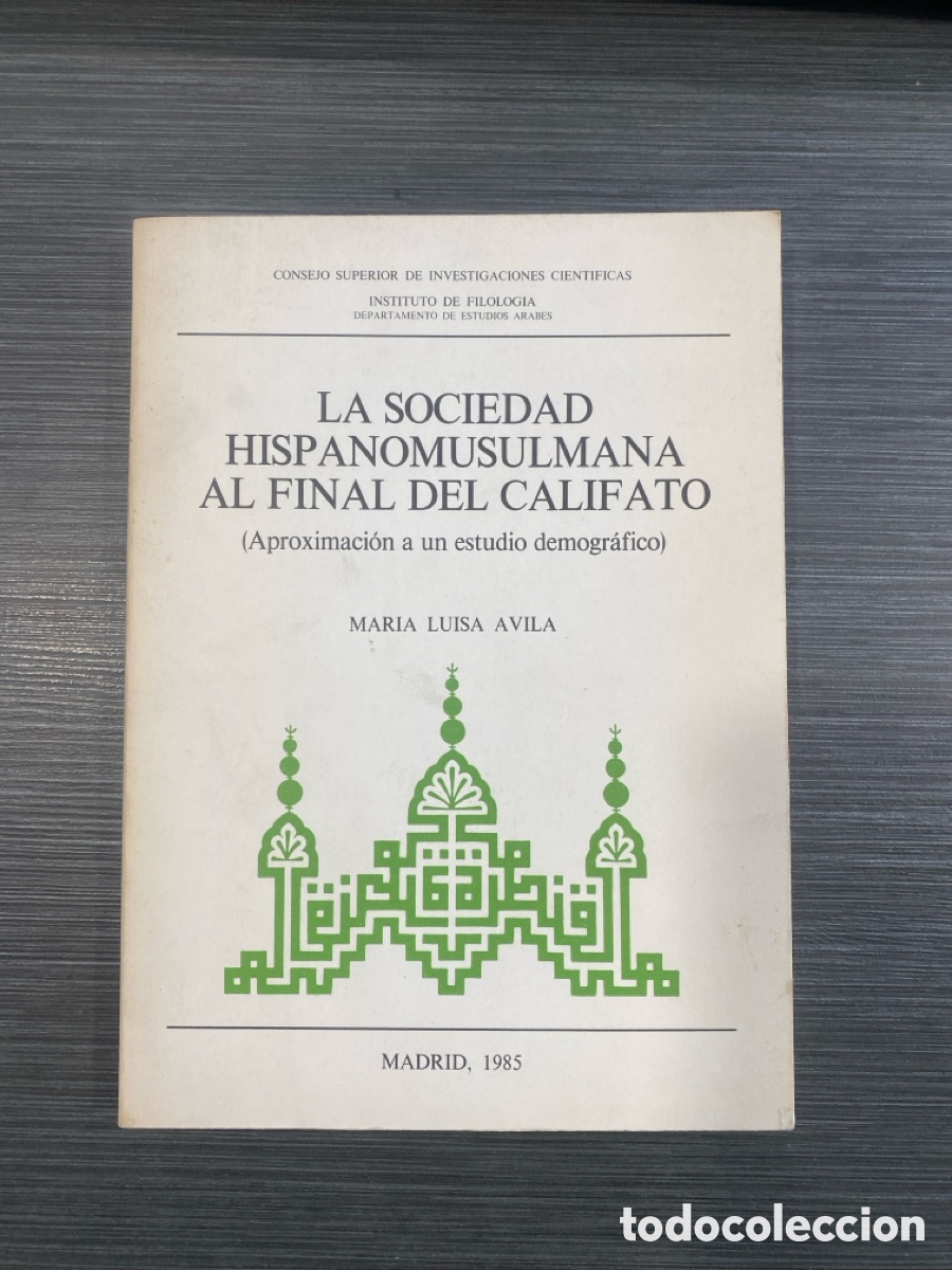 Libros de segunda mano: La sociedad hispanomusulmana al final del califato - Mar&iacute;a Luisa &Aacute;vila