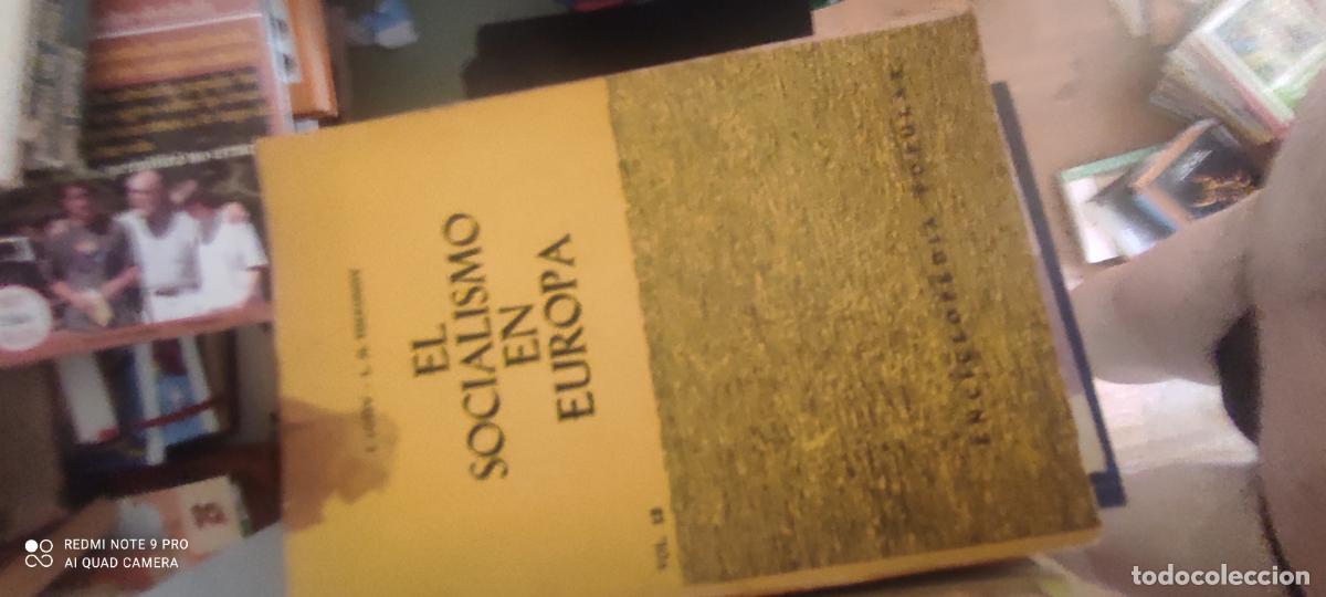 Libros de segunda mano: El socialismo en Europa