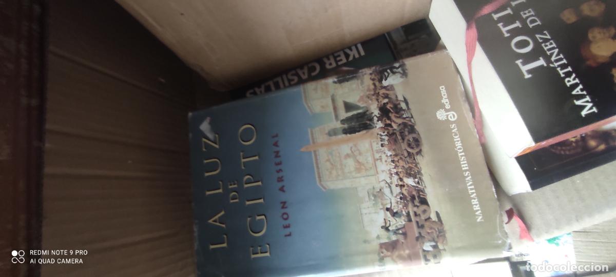 Libros de segunda mano: LE&Oacute;N ARSENAL . LA LUZ DE EGIPTO .EDHASA