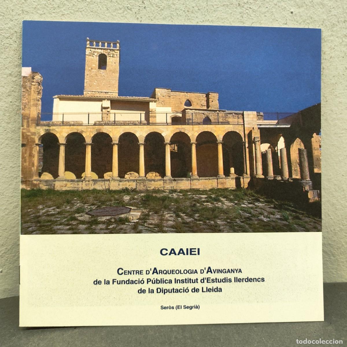 Libros de segunda mano: CENTRE D'ARQUEOLOGIA D'AVINGANYA DE LA FUNDACI&Oacute; P&Uacute;BLICA INSTITUT D'ESTUDIS ILERDENCS - 1997 / 1171