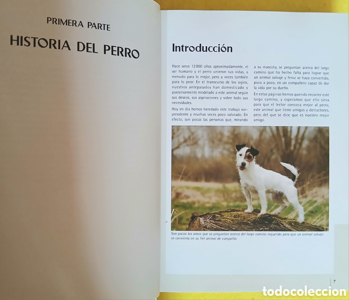 Libros de segunda mano: Enciclopedia Mundial de perros - Foto 3