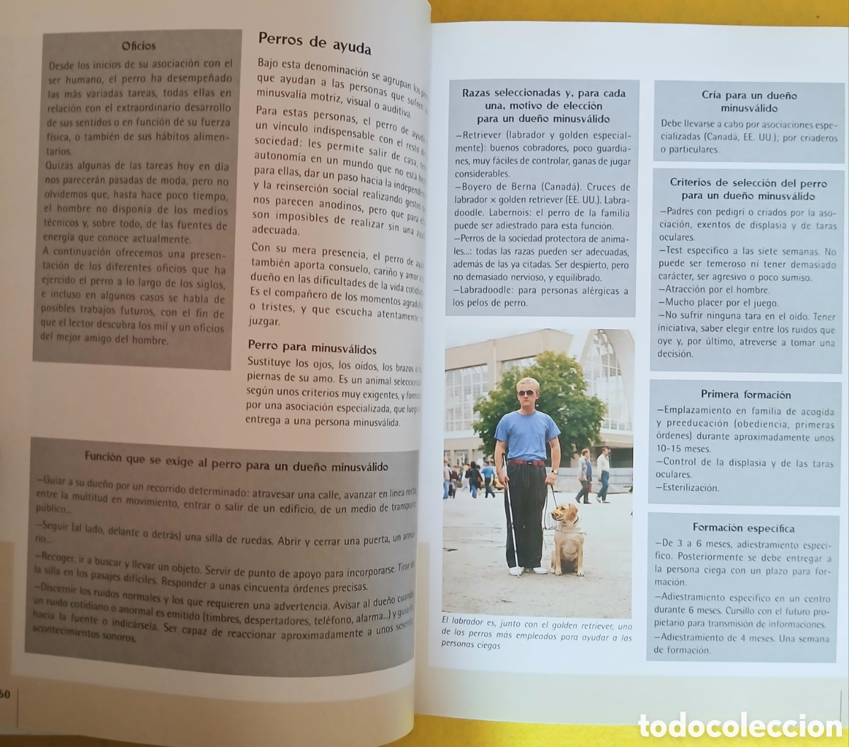 Libros de segunda mano: Enciclopedia Mundial de perros - Foto 5