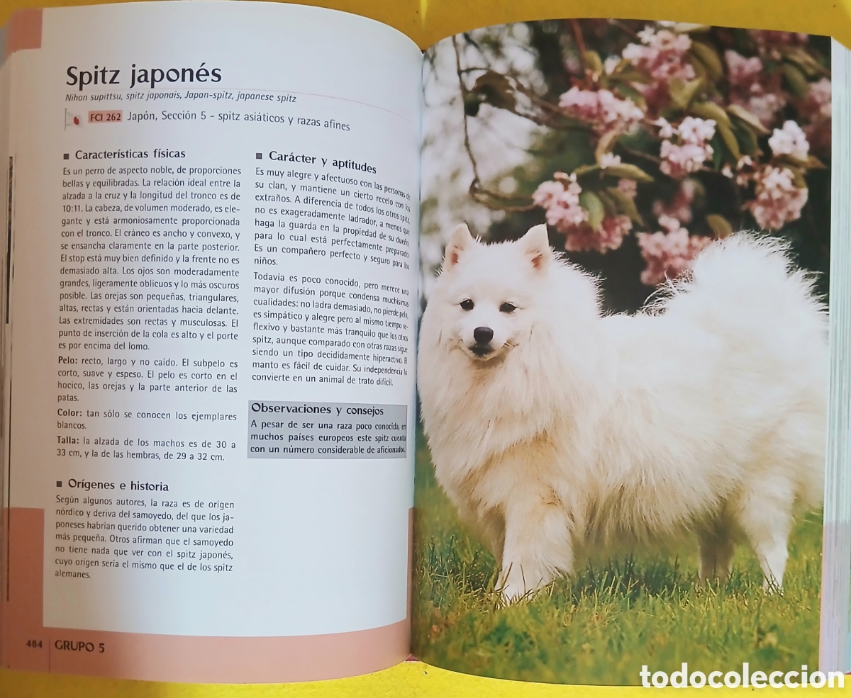 Libros de segunda mano: Enciclopedia Mundial de perros - Foto 6