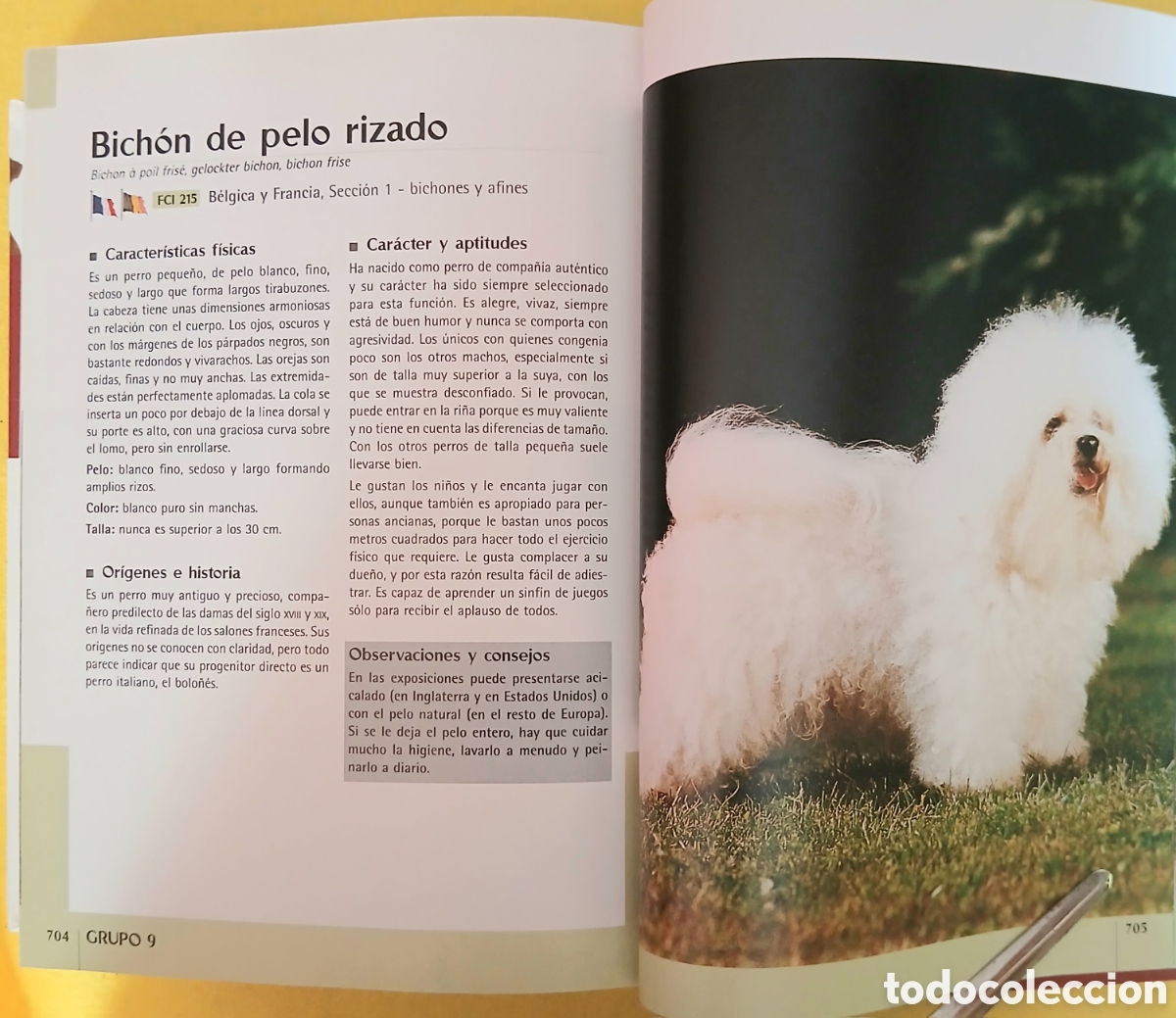 Libros de segunda mano: Enciclopedia Mundial de perros - Foto 7