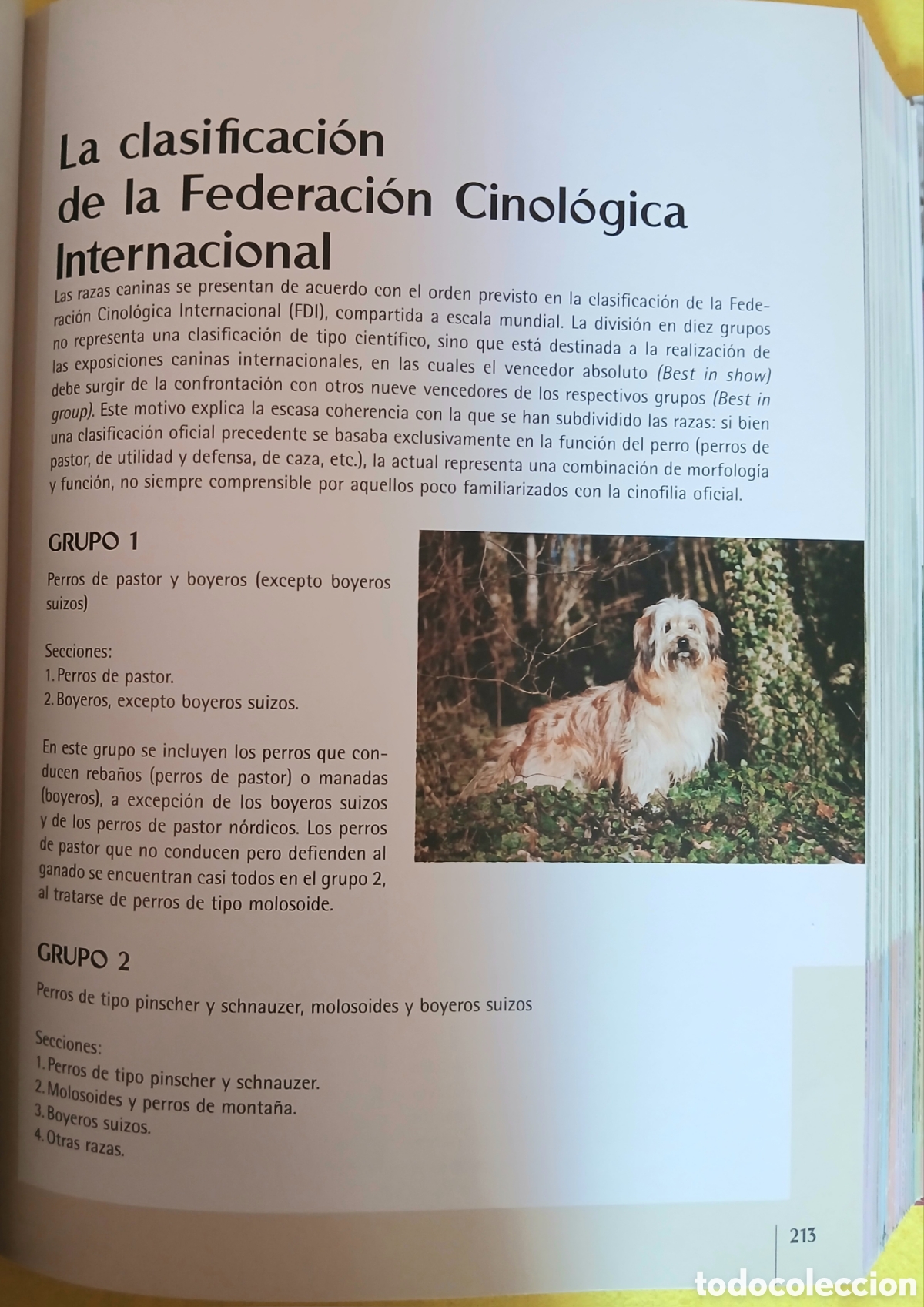 Libros de segunda mano: Enciclopedia Mundial de perros - Foto 8