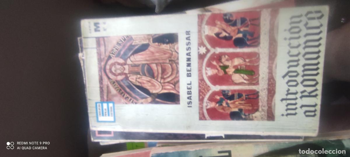 Libros de segunda mano: Introducci&oacute;n al rom&aacute;nico. Enciclopedia Popular Ilustrada