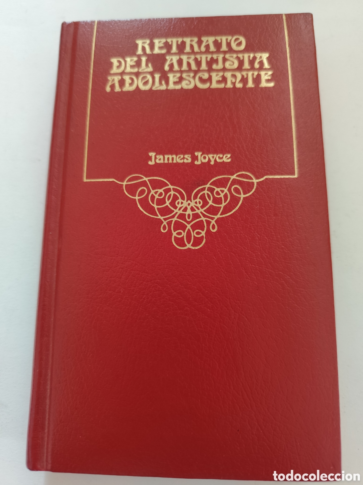 Gebrauchte B&uuml;cher: Retrato del Artista Adolescente