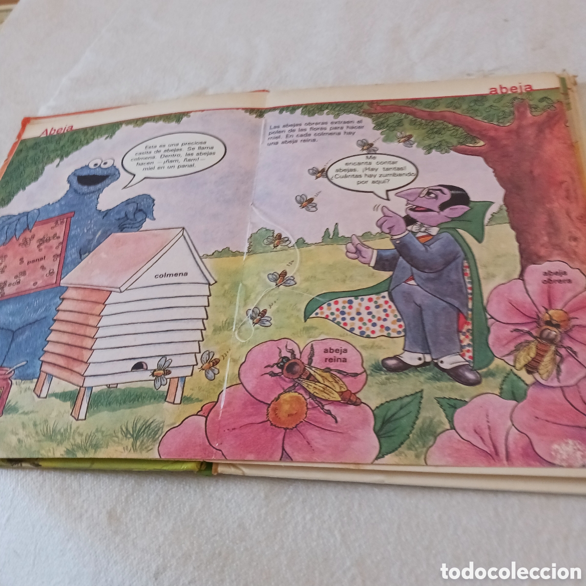 Libros de segunda mano: El libro de la A,Enciclopedia &Aacute;brete Sesamo - Foto 6