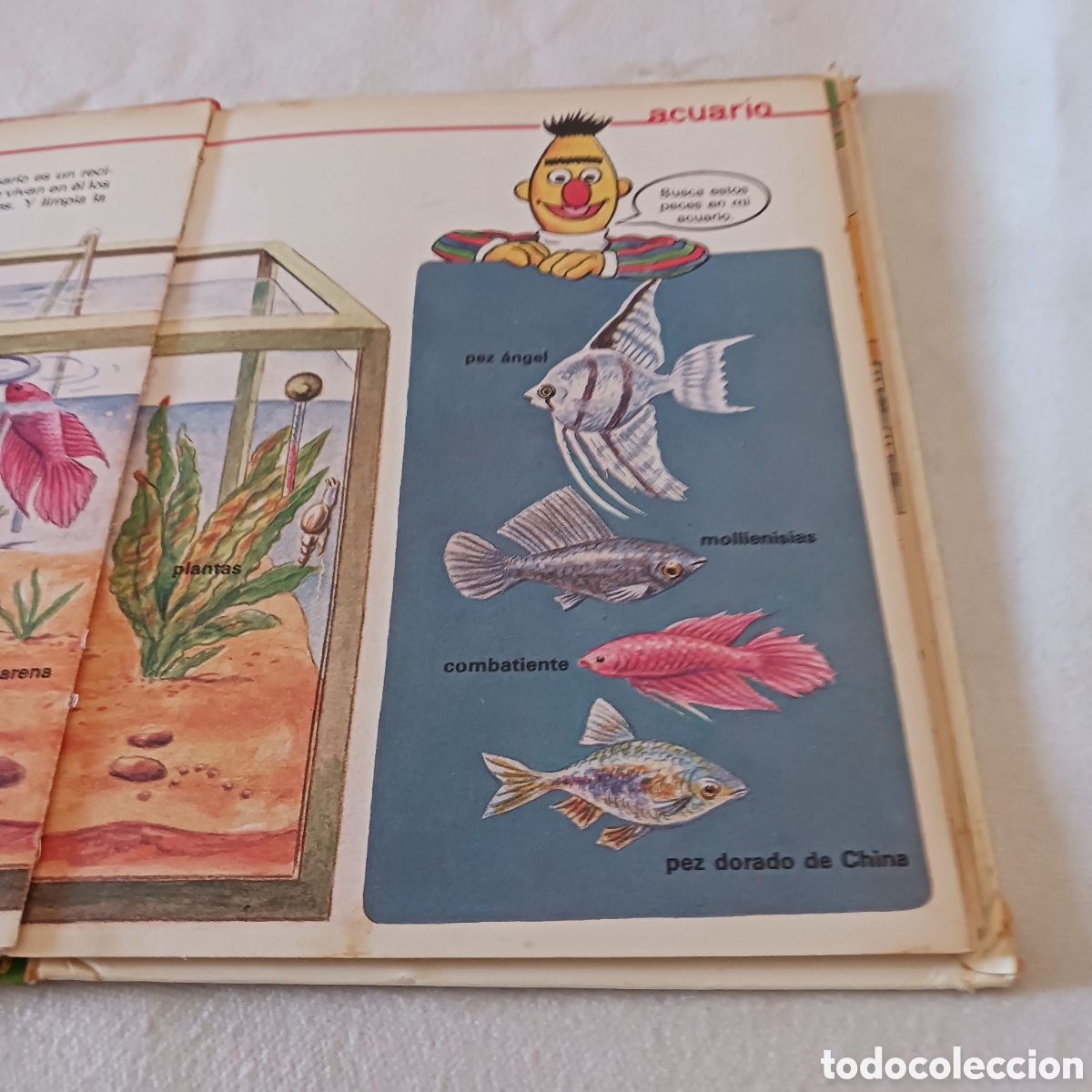 Libros de segunda mano: El libro de la A,Enciclopedia &Aacute;brete Sesamo - Foto 7