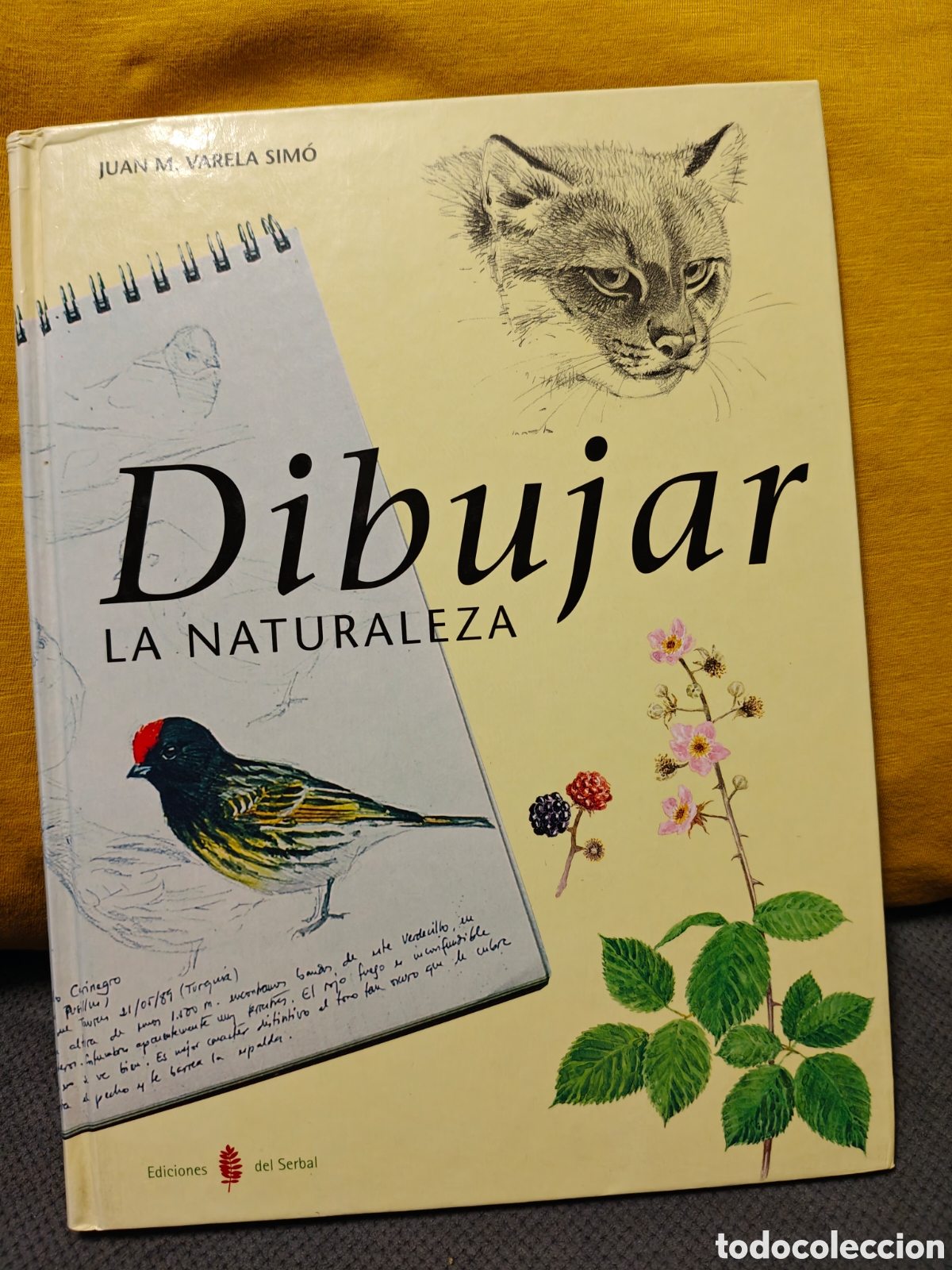 Libros de segunda mano: Dibujar la Naturaleza, Juan M.Varela Simo