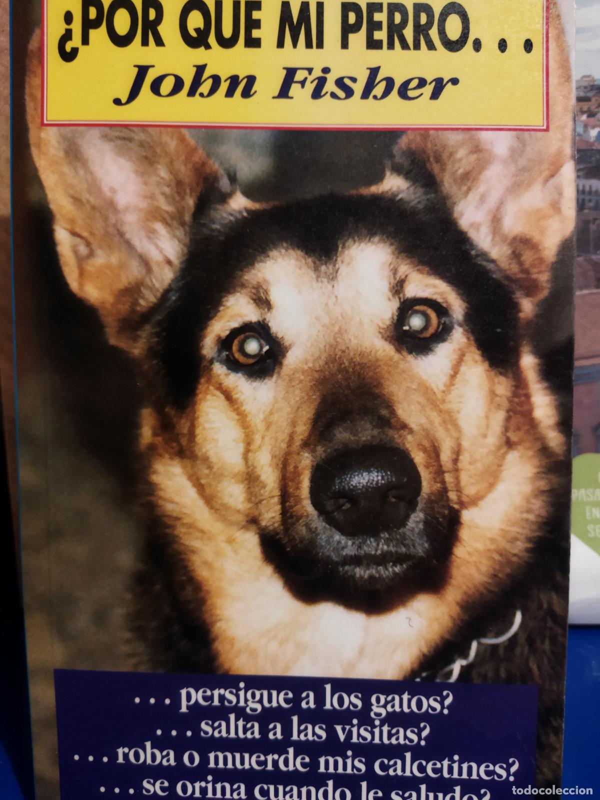 Libros de segunda mano: Por qu&eacute; mi perro ? John Fisber Noticias