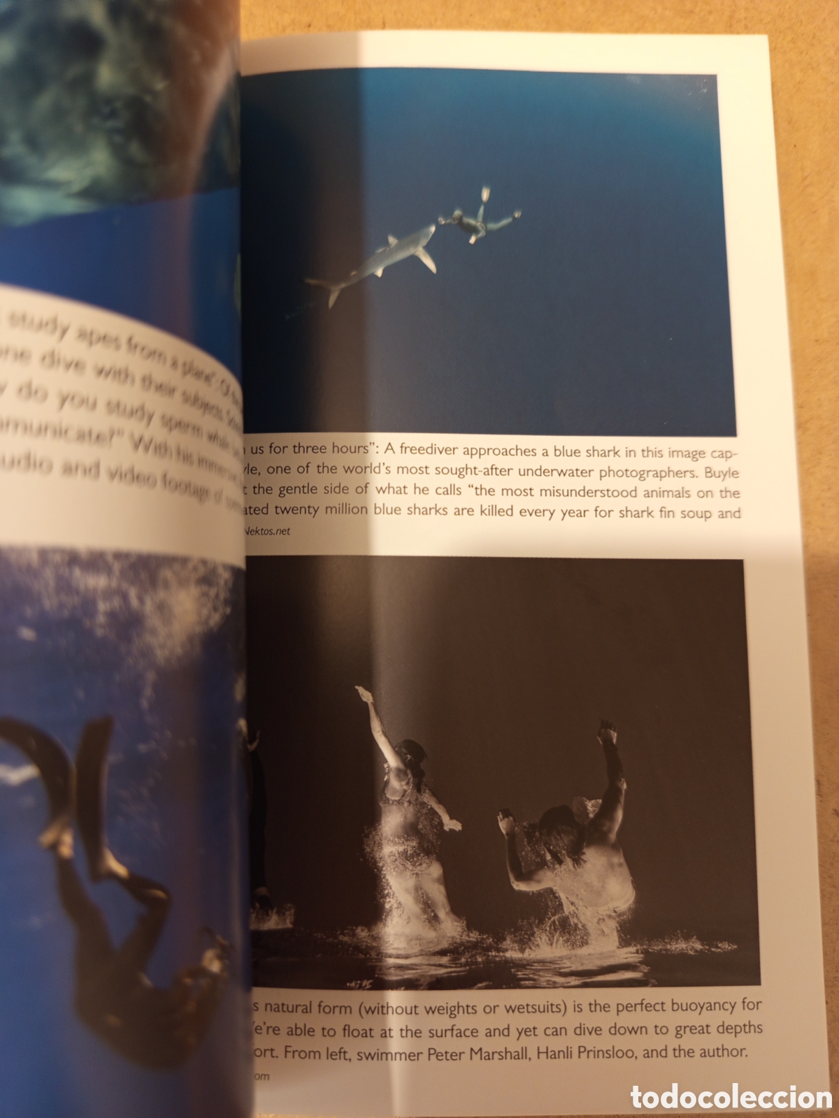 Libros de segunda mano: DEEP (JAMES NESTOR) PROFILE BOOKS - Foto 4