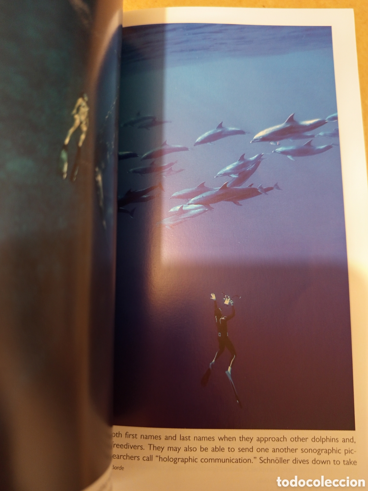 Libros de segunda mano: DEEP (JAMES NESTOR) PROFILE BOOKS - Foto 5