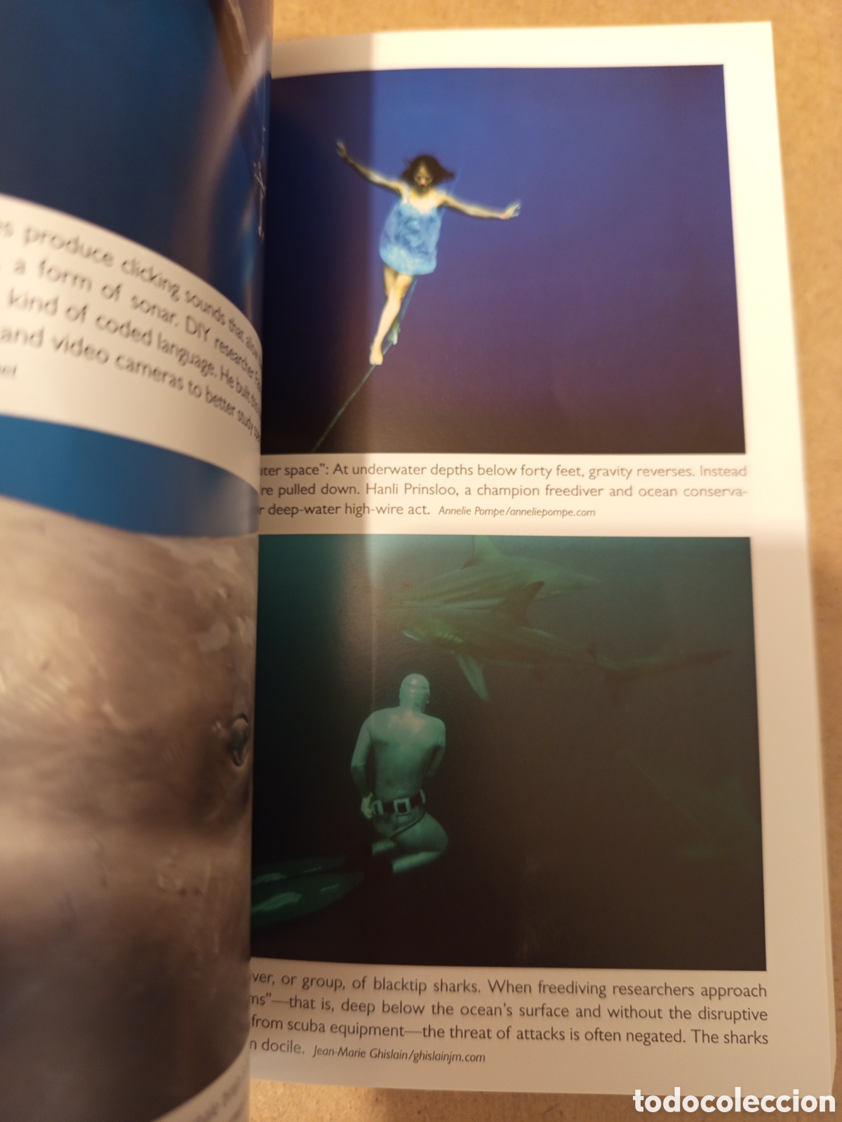 Libros de segunda mano: DEEP (JAMES NESTOR) PROFILE BOOKS - Foto 7