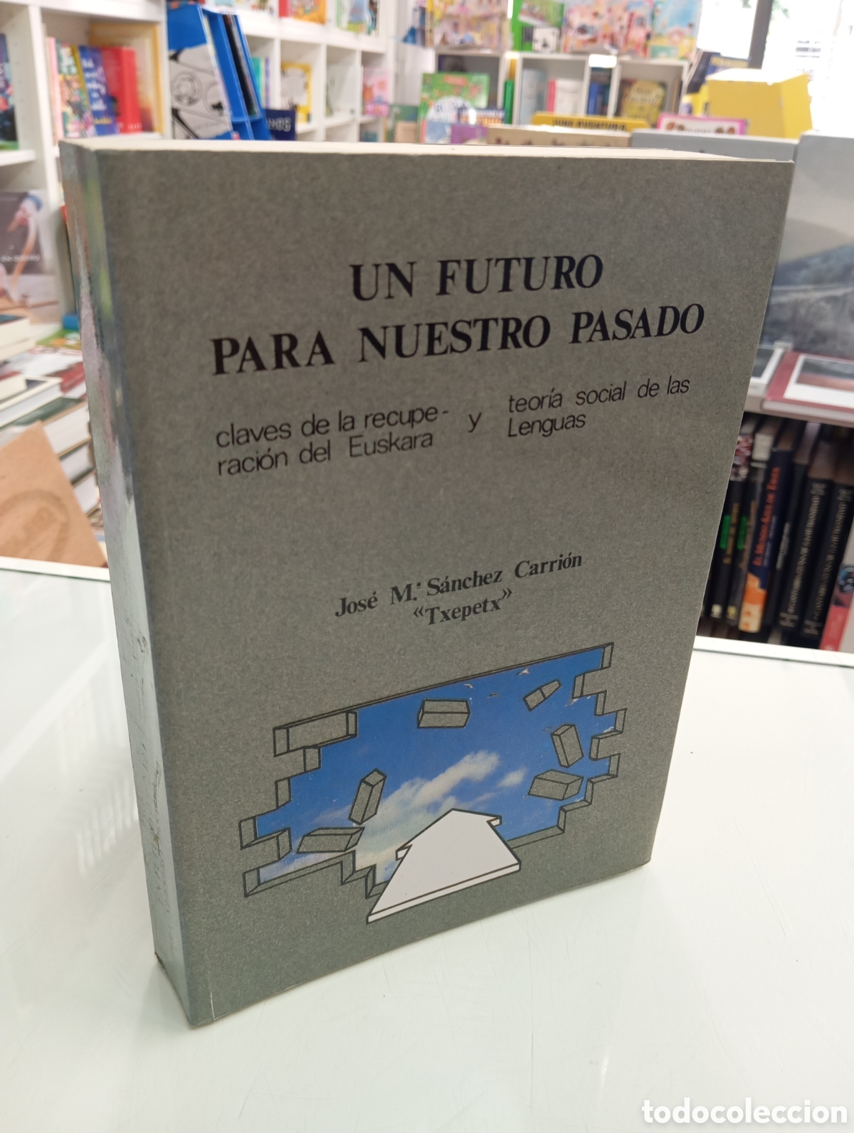 Libros de segunda mano: UN FUTURO PARA NUESTRO PASADO CLAVES DE RECUPERACI&Oacute;N DEL EUSKERA J. M&ordf; S&Aacute;NCHEZ CARRI&Oacute;N TXEPETX VASCO