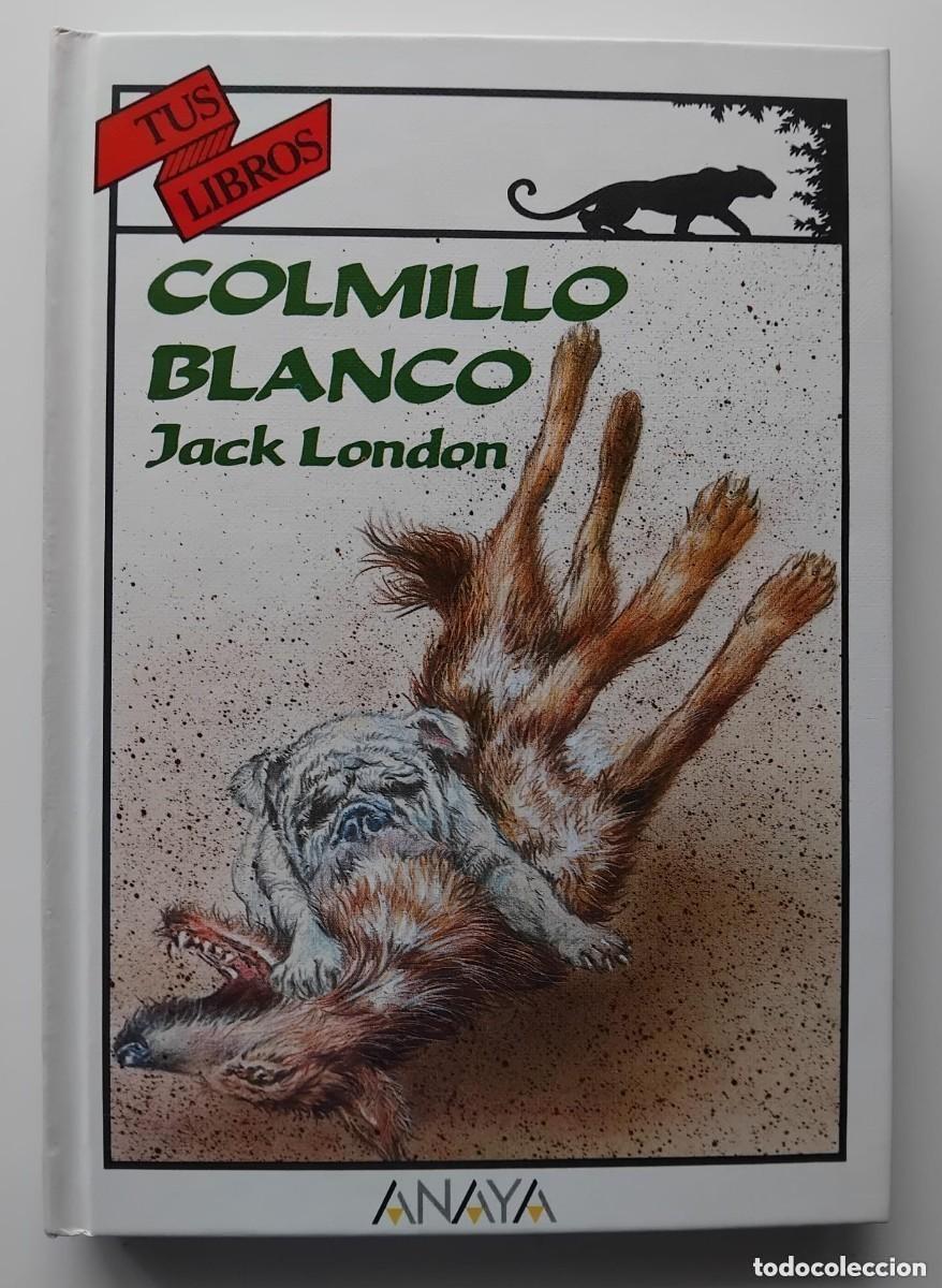 Libri di seconda mano: Jack London - Colmillo blanco Col. Tus Libros Ed. Anaya 4&ordf; edici&oacute;n 1995
