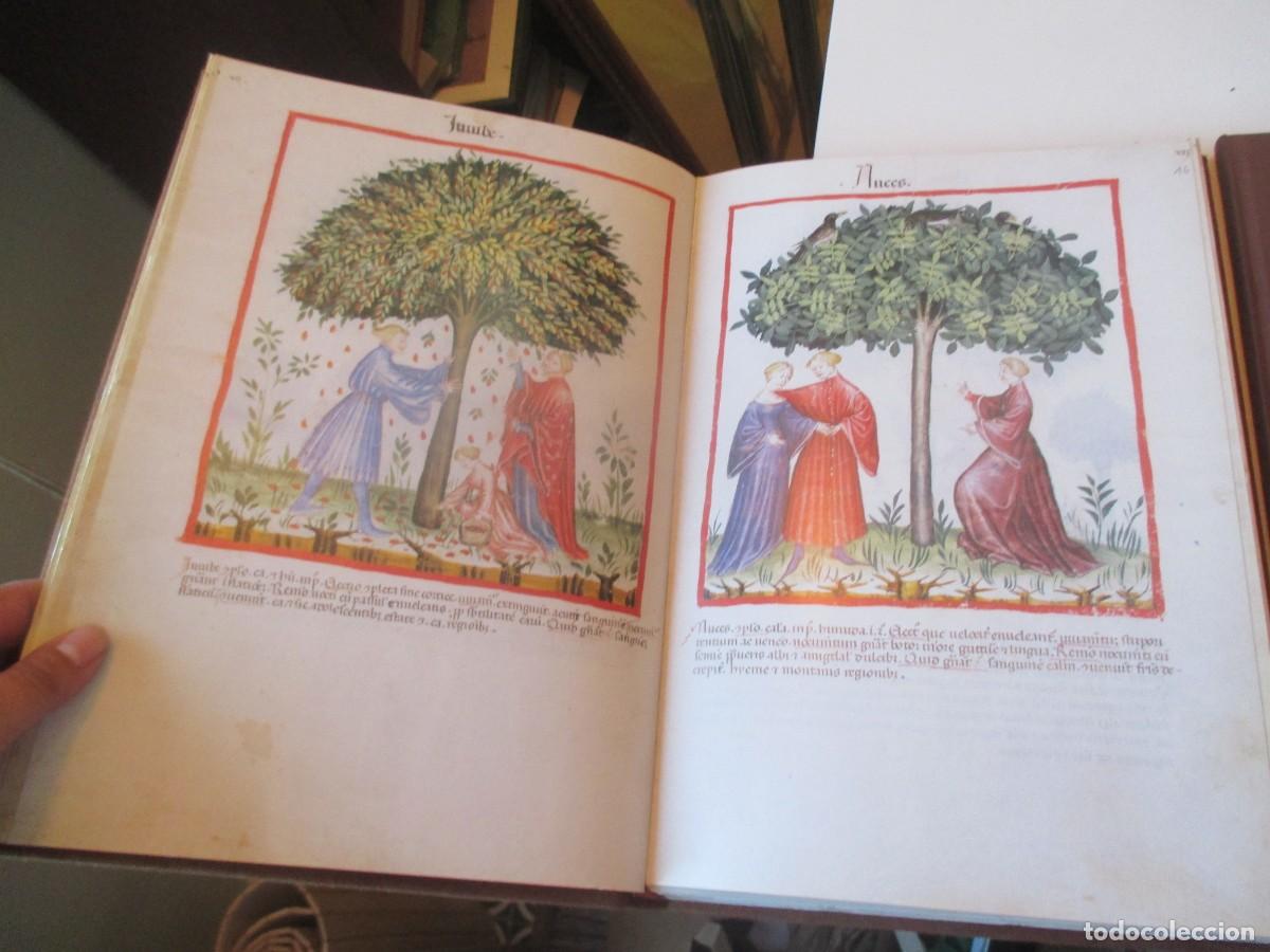 Libros de segunda mano: CODICE DE CERRUTI TACUINUM SANITATIS ( 2 tomos)( Facs&iacute;mil) W41138 - Foto 3