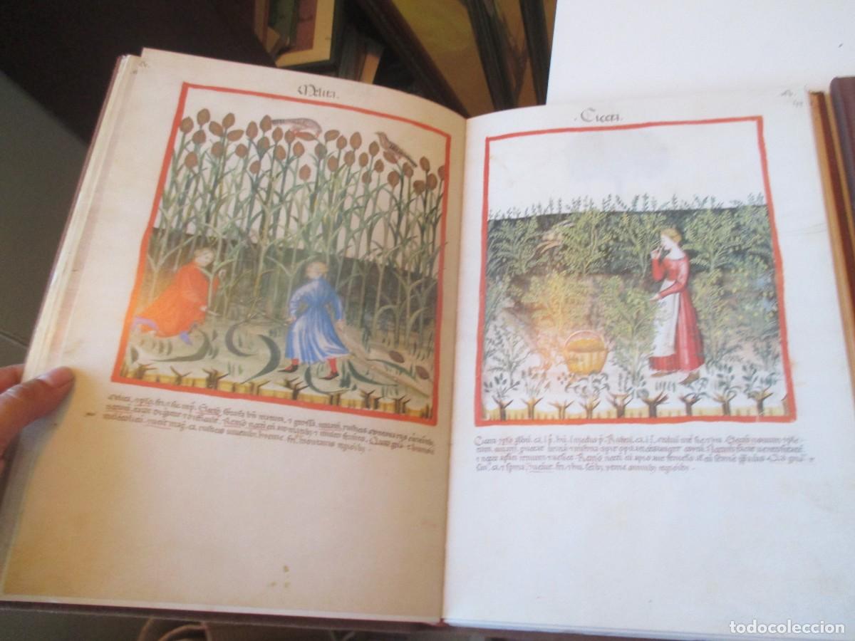 Libros de segunda mano: CODICE DE CERRUTI TACUINUM SANITATIS ( 2 tomos)( Facs&iacute;mil) W41138 - Foto 4
