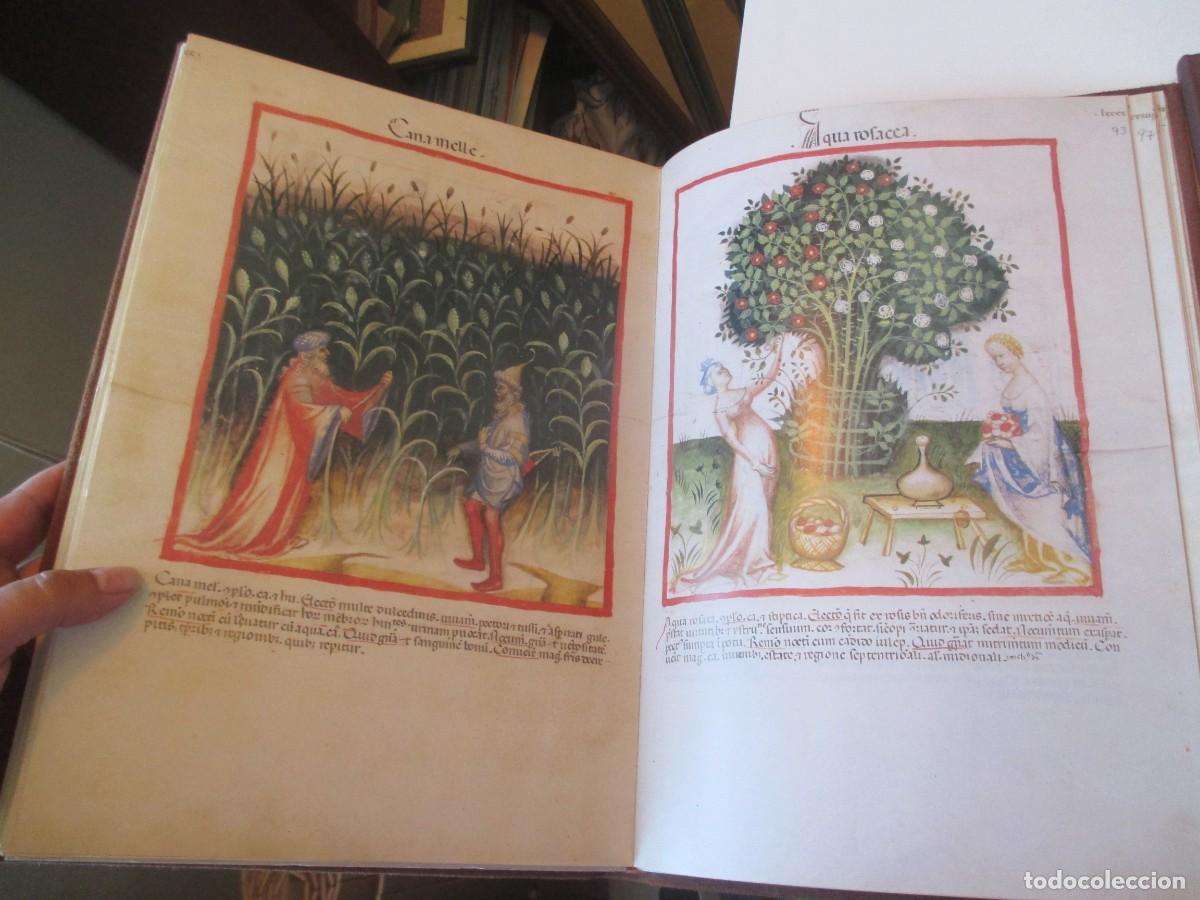 Libros de segunda mano: CODICE DE CERRUTI TACUINUM SANITATIS ( 2 tomos)( Facs&iacute;mil) W41138 - Foto 5