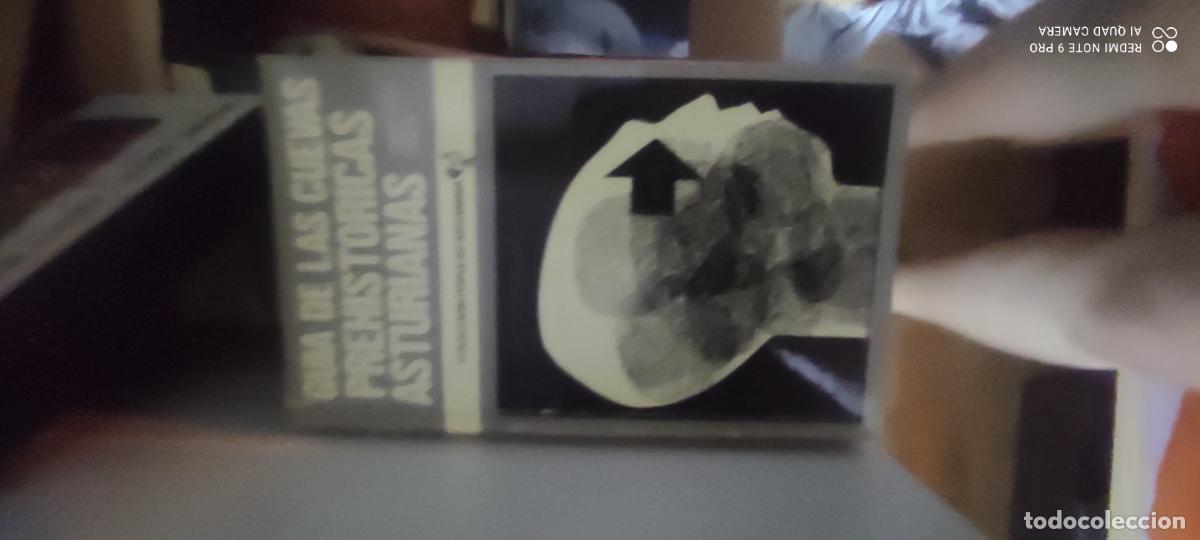 Libros de segunda mano: Gu&iacute;a de las cuevas prehist&oacute;ricas asturianas. JORDA CERDA Francisco. Colecci&oacute;n Popular Asturiana 197