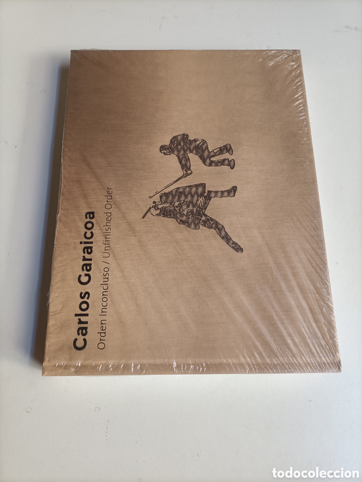 Libros de segunda mano: Carlos Garaicoa. Orden inconcluso. Unfinishead order. Arte siglo XX XXI