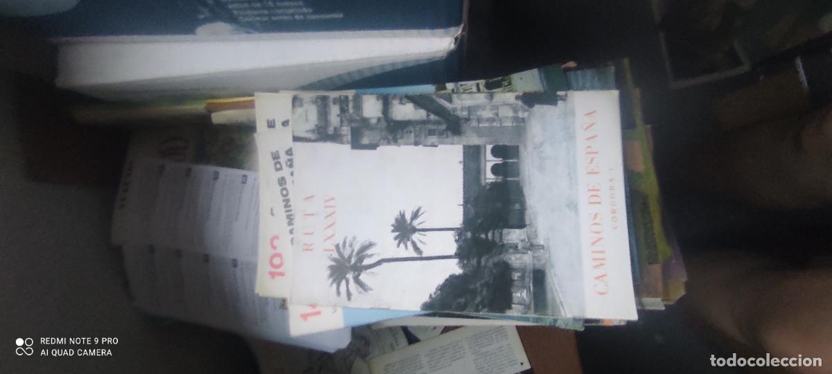 Livres d'occasion: Caminos de Espa&ntilde;a. Ruta 84