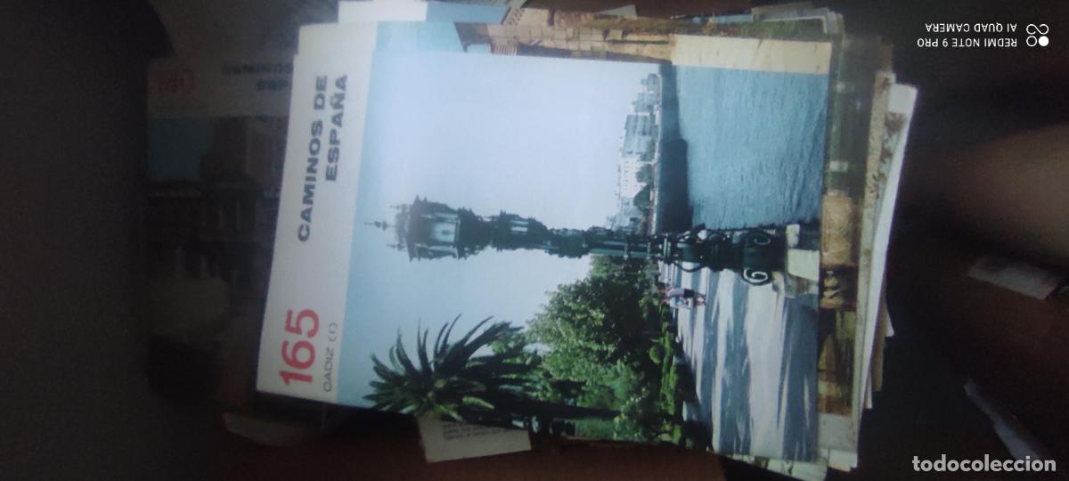 Second hand books: Caminos de Espa&ntilde;a. 165