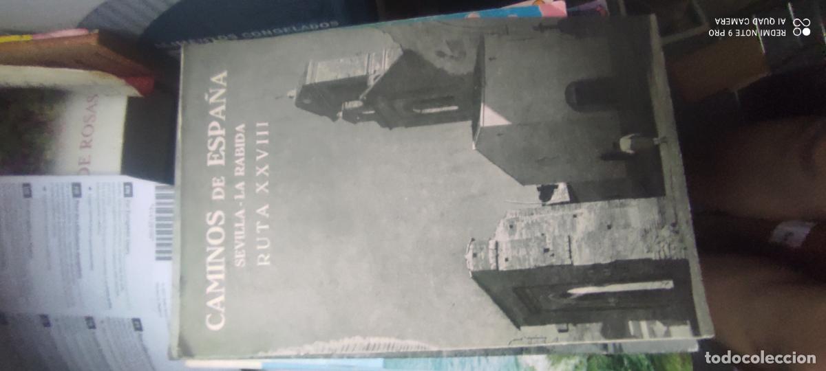 Libros de segunda mano: Caminos de Espa&ntilde;a. Ruta XXXVIII