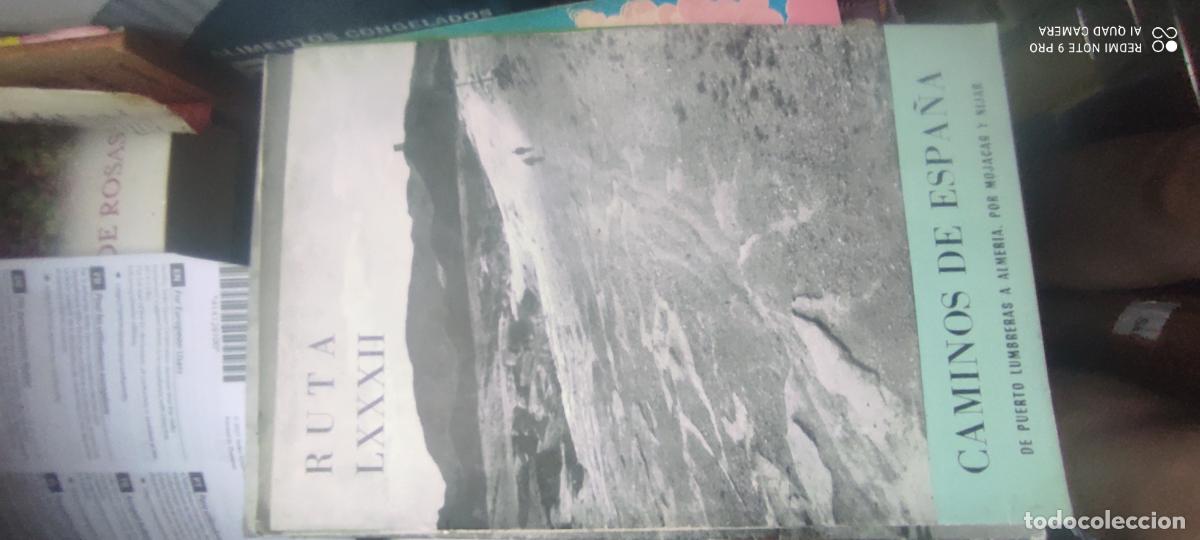Libros de segunda mano: Caminos de Espa&ntilde;a. Ruta LXXXII