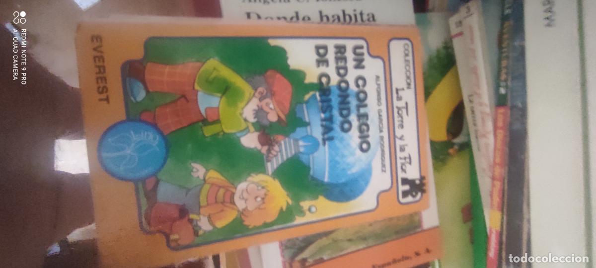 Second hand books: UN COLEGIO REDONDO DE CRISTAL. ALFONSO GARC&Iacute;A RODR&Iacute;GUEZ. LA TORRE Y LA FLOR N 20 LIRIO. EVEREST 1988